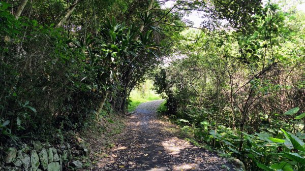 八勢古道,三空泉步道,貴子坑步道2545517