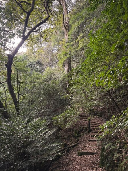 船型山林道賞雲海、烏石坑山、2432峰 山景海景一次到位2929308