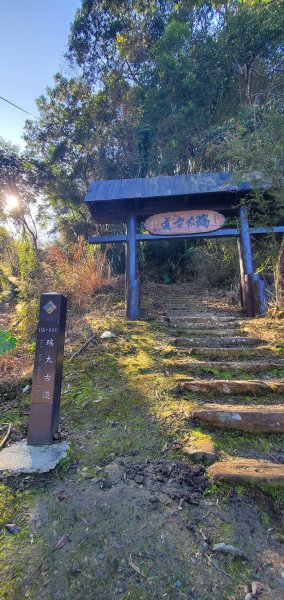 2025-01-30瑞太古道2704362