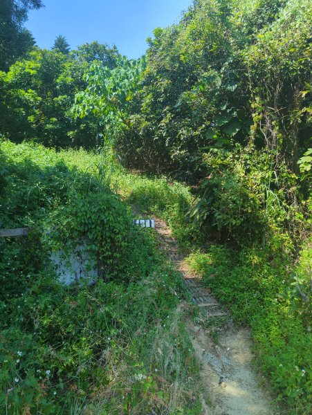 2025.10.05－阿罩霧山、中心瓏步道2908083