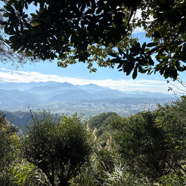 2025-11-30 飛鳳山 走來回2952648