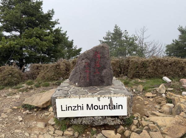 [山海圳_聖山之路_第二段3/4] 2026_0802 麟趾山3109243