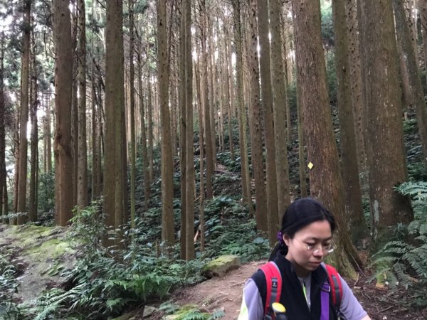 加里山鹿野線461352