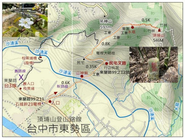 頂埔山 新路線 ( 東勢 )3039550