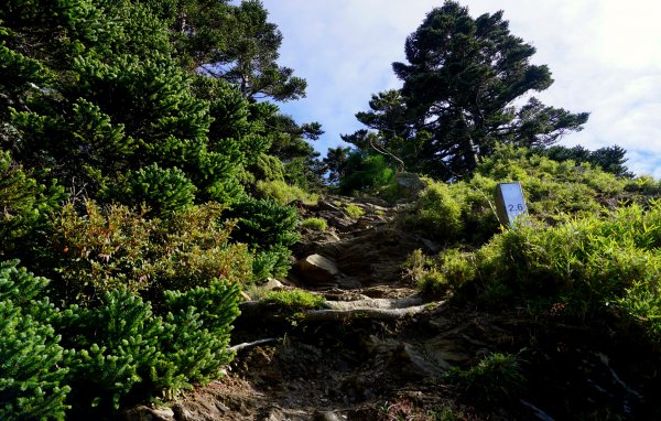 鳥山。不鳥 ~ 合歡西峰439637