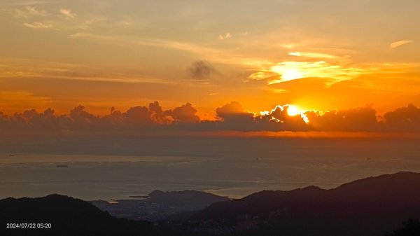 雲山水花鳥蝶 - 天龍國阿伯的日常7/18 & 21、22、292556660