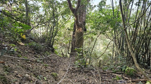 暗影山三進三出2366551