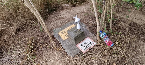 2025/01/04_鹿廚坑健行步道2683479