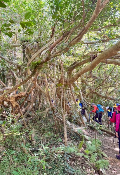 恆春縱走:鎮南宮-赤牛嶺-大山母山(小百岳#81)-南灣出 走讀恆春古城2964431