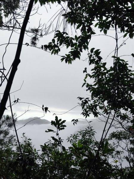 谷關老八阿冷山2699789