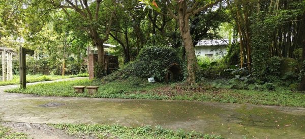 2026/05/01 苗栗鐘樓古道3046682