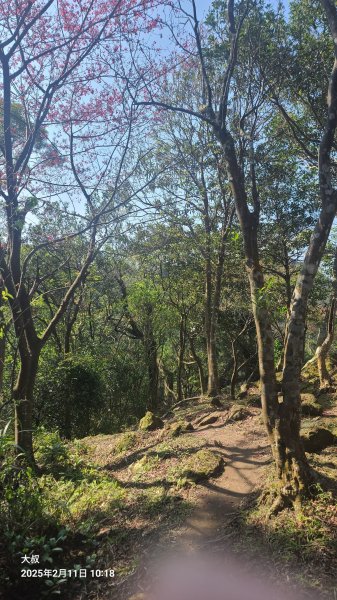 2025-0211造鎮_太極嶺_五城山小段攀爬路線2710734