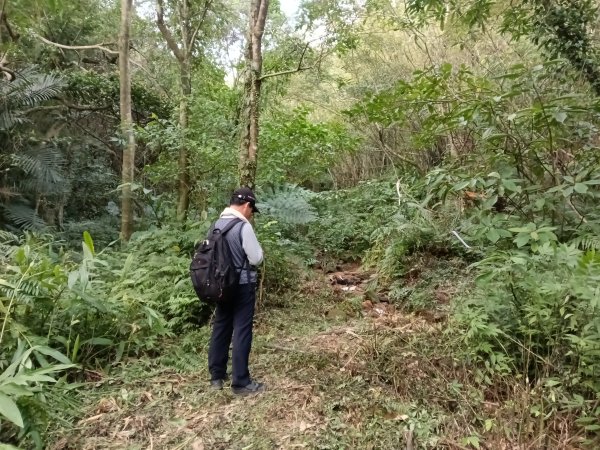基隆市三層山+湳子大崙+淡基橫斷古道+面桶寮土地公2982227