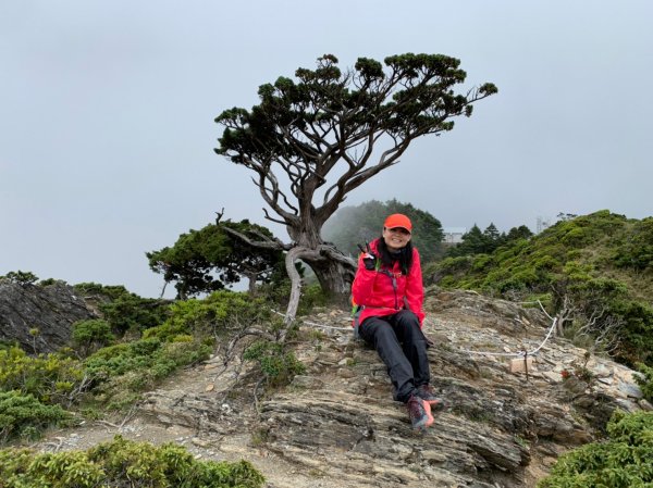 20220625台東海端向陽山、向陽山北峰、三叉山、嘉明湖1745479
