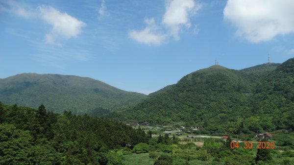 陽明山賞蝶趣940407