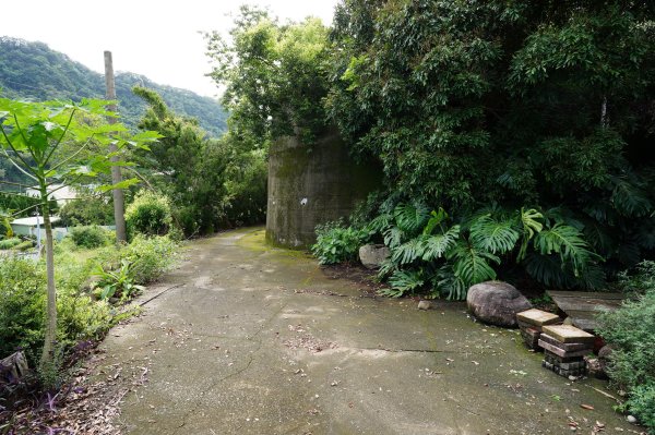 苗栗 三義 枕頭山、南片山2801748