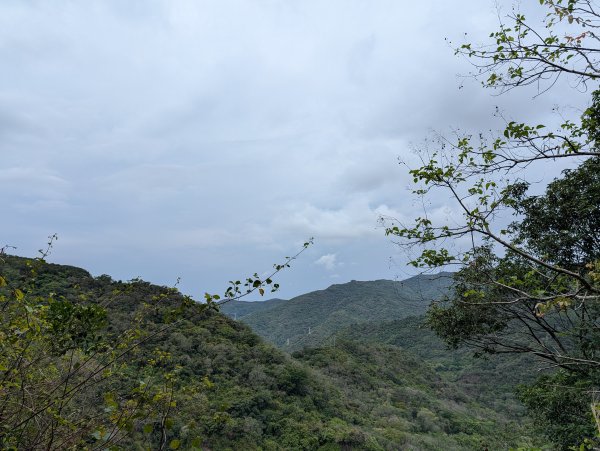 女仍山3042683