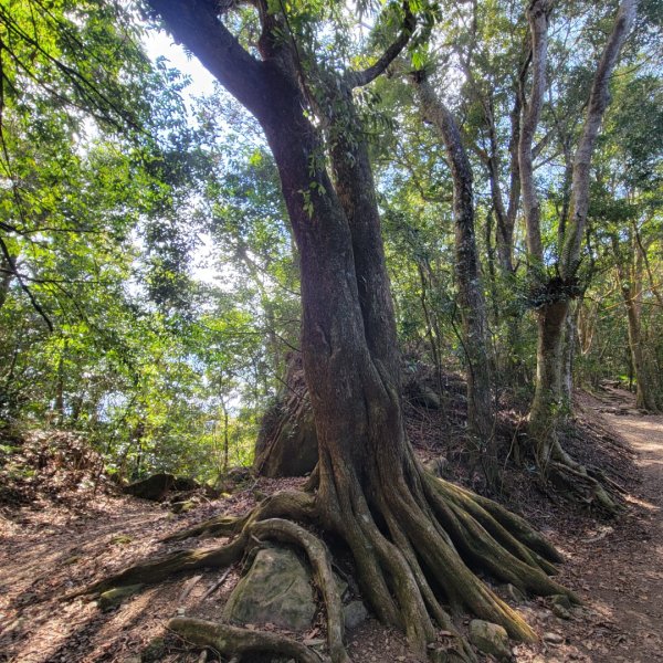 馬那邦山、細道邦山（小百岳）2435577