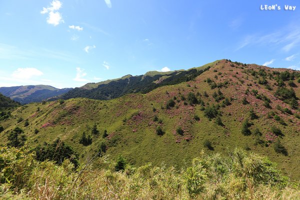 合歡越嶺古道‧赤松段1889419