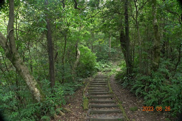 基隆 頂寮山、龍門山、五分山、頂子寮山2265982