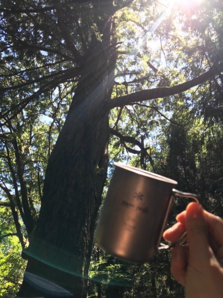 2017.10.28 檜山巨木群步道447766