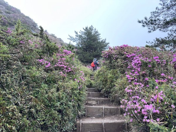 風雨中完成合歡北峰登頂2515347