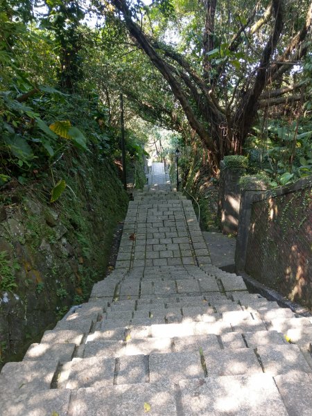 黃金神社步道694115