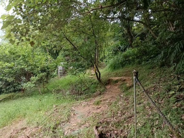 平溪區嶺腳越嶺古道+嶺腳步道+嶺腳石窟大瀑布O型2824083