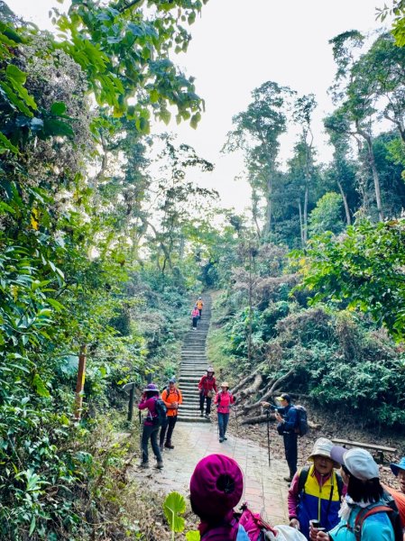 荷苞山登山步道走荷芭山小溪子山 午餐吃塔可飯幸福耶2996038