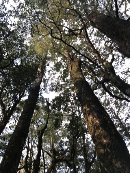 霞喀羅大山,佐藤山順訪佐藤駐在所1324532