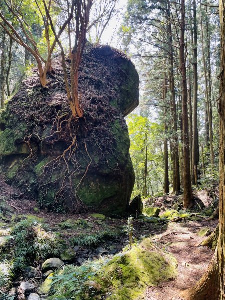 2020/03/12 那結山＆貴妃山 O形縱走1650324