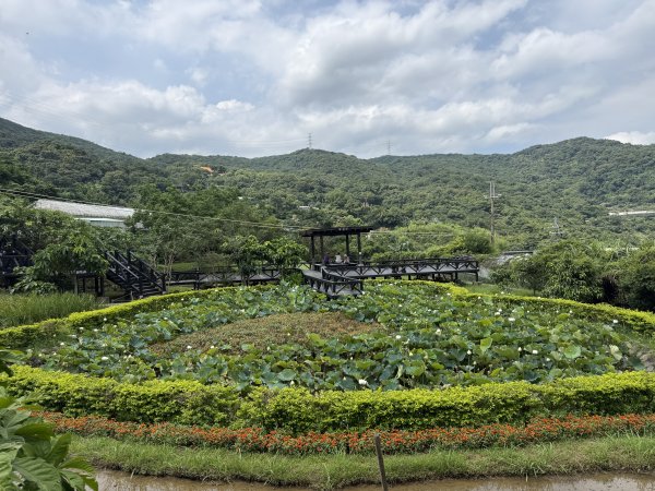 77台北大縱走第4段11506193126648