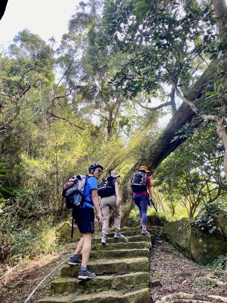《中正山 × 紗帽山｜穿越北投古道與山林的一日縱走！》2934932