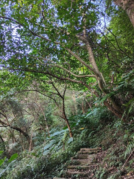 2023.12.14 土城天上山2827283