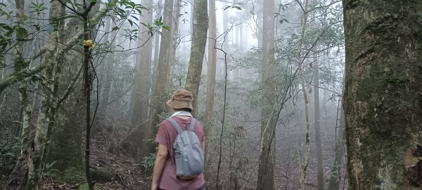 20240720_油羅山+太閣南山2555915