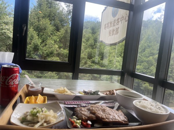 [玉山尋寶任務-05/12] 2025_0823 塔塔加步道(大鐵杉登山步道)2869634