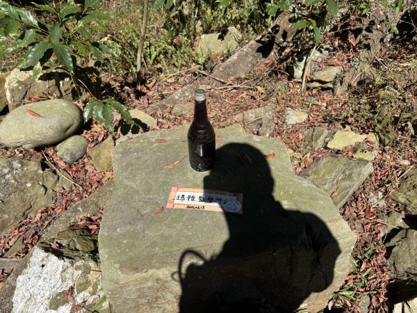 南真我山 & 真我山 & 真我山北峰 & 五公山 (20260215)3000609