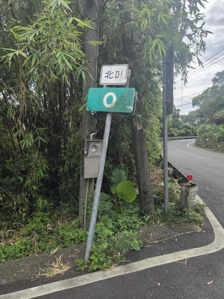 20260730茶山步道-五爪崙山-半嶺山-倒照湖山（未果）3098794