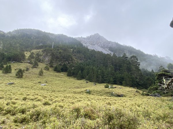 南湖中央尖-------北一段2868235