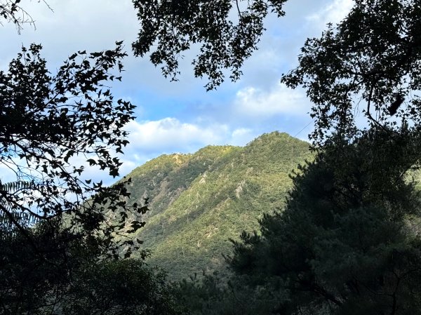 回程下雨的 松鶴上 八仙山 202510252925739