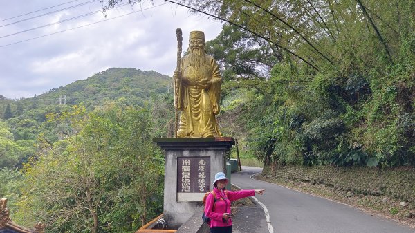 (姨婆趴趴走)第五十集:新北樹林大同山、青龍嶺、大棟山諸峰連走2751536