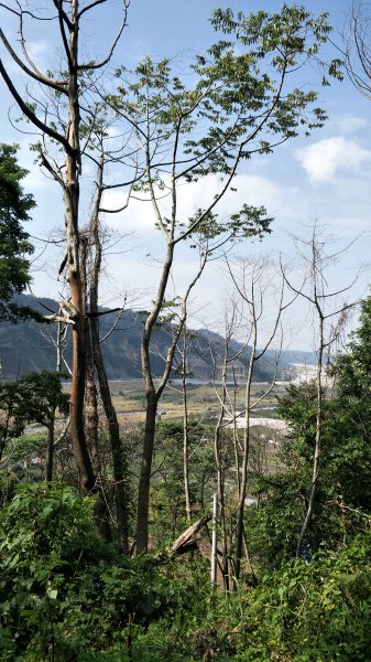 20171031大克山砲臺古道&象鼻古道557060