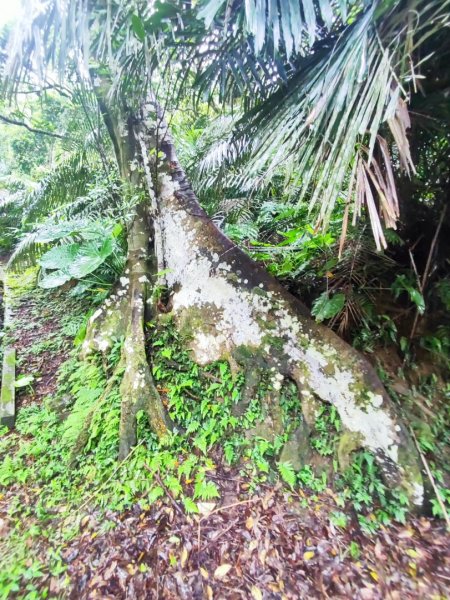 微笑山線之新店和美山-銀河洞2847789