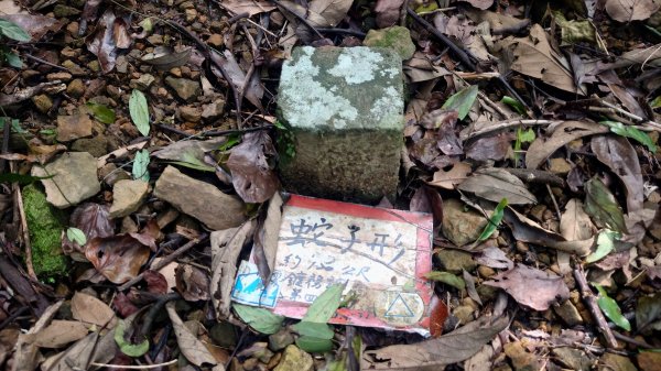 清幽的古道與舊日採礦遺址巡禮瑞芳蛇形子古道登烏塗窟山與獅子嘴奇岩O形2756635