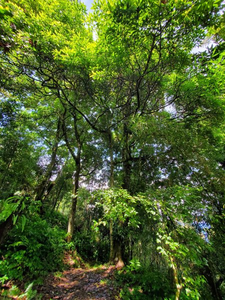 小百岳-馬那邦山1082600