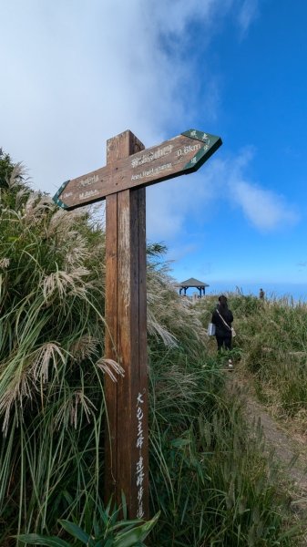 113.10.27大屯山主峰-二子山西峰-二子山東峰2638816