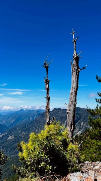 🌈百岳~玉山前峰 ✨FB：熊熊趴爬走 🌈2886335