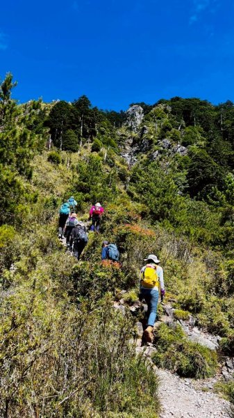 🌈百岳~玉山前峰 ✨FB：熊熊趴爬走 🌈2886336