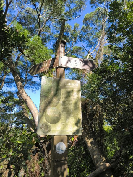 20250906泰山辭修公園、尖棟山、69步道、瓊仔胡2879483