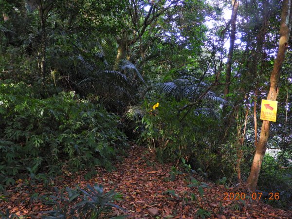 苗栗 三灣 神桌山1045796